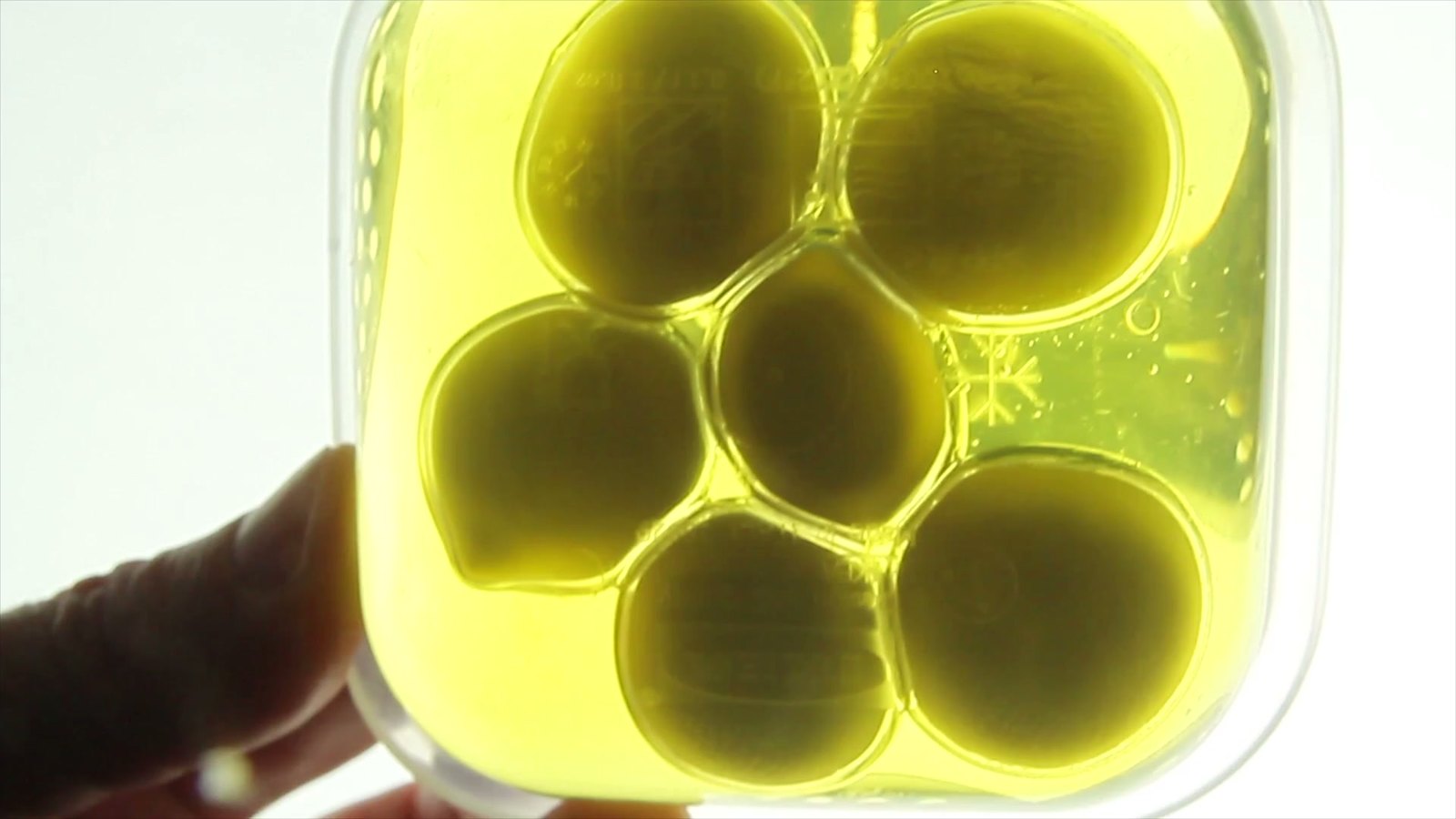 A hand holds a clear plastic tub of bright yellow liquid in which five large translucent spheres sit, each skinned and holding its shape.