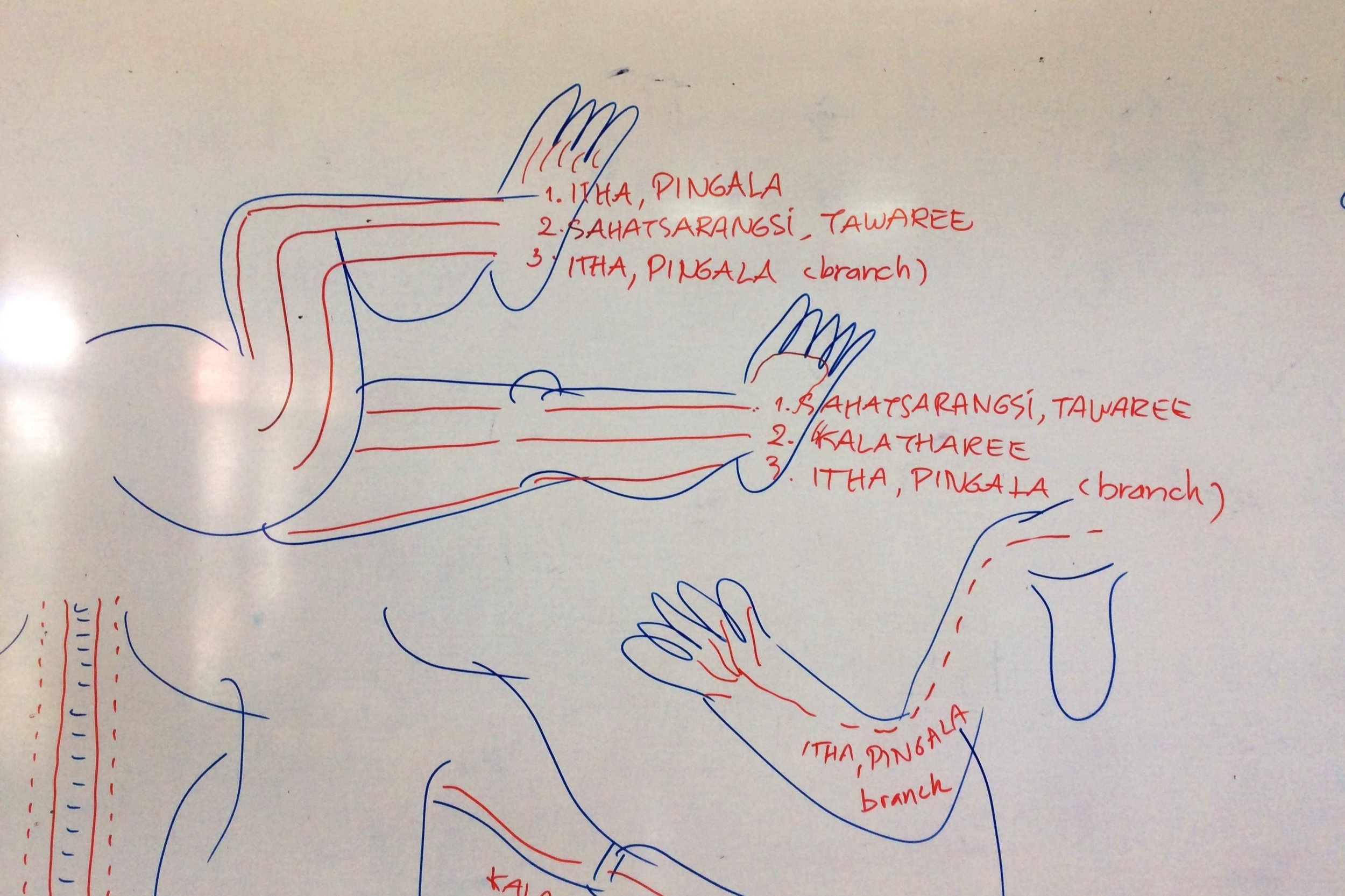 A whiteboard covered in hand-drawn diagrams of the body in red and blue marker, with Sen energy lines traced along the limbs and their names written beside them.