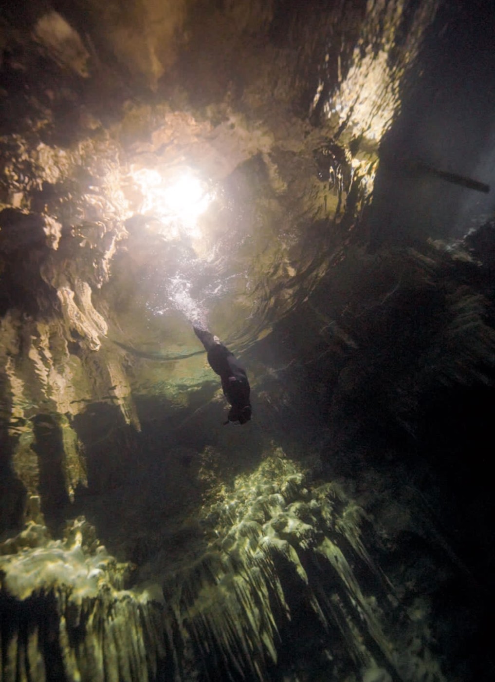 Arnaud freediving in a cenote