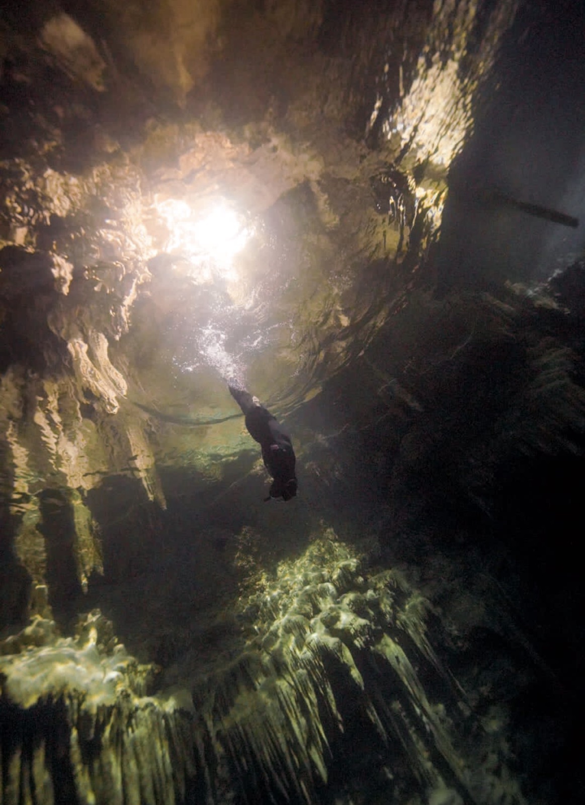 Arnaud freediving in a cenote